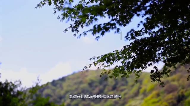 “头雁”领飞,“雁群”高飞(现场评论·新春走基层)