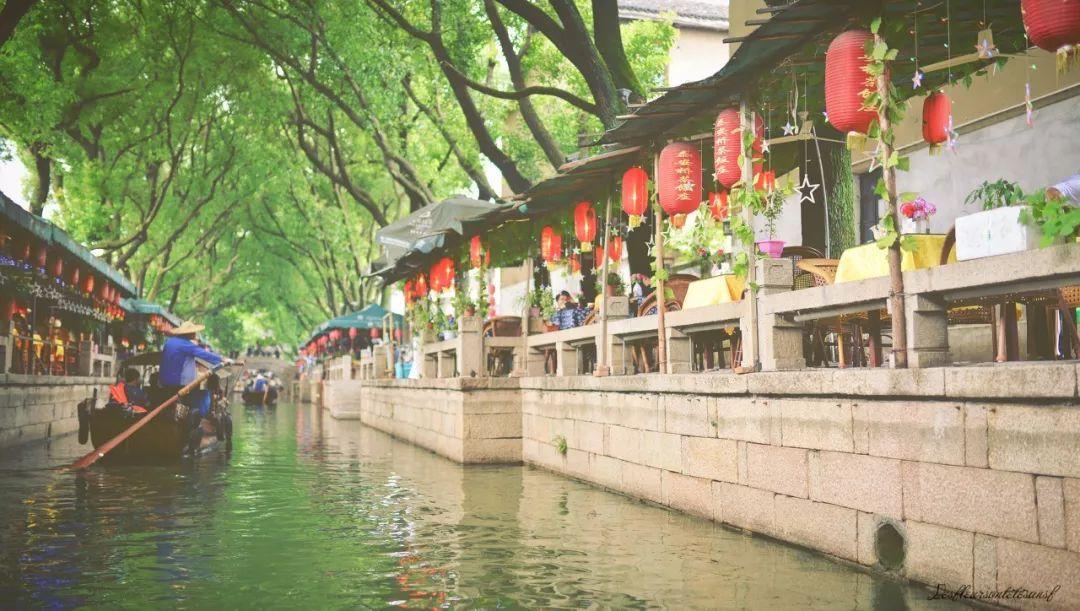漂亮鹦鹉救援